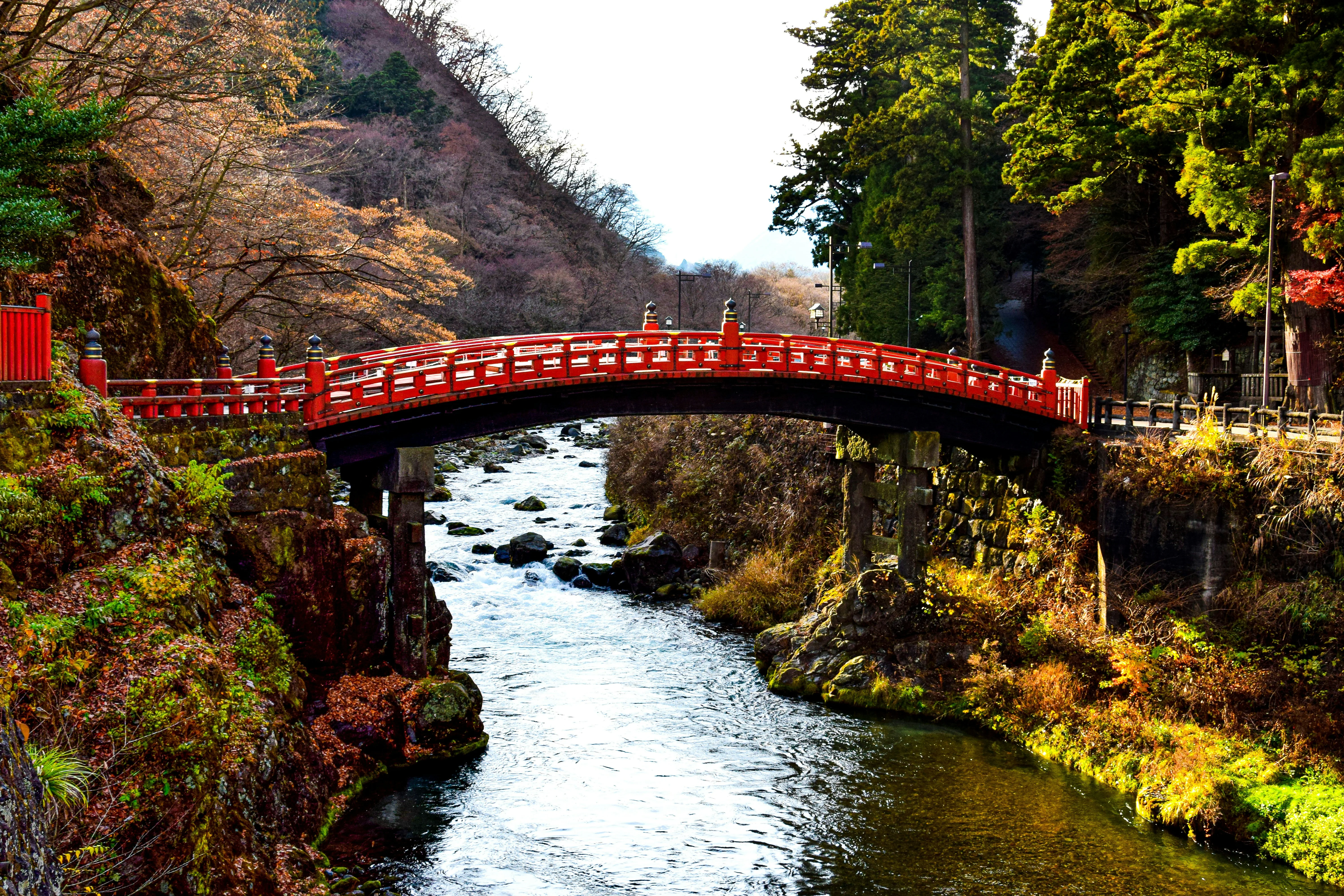 Historic Japan Beyond Barriers: Accessible Heritage Sites Near Tokyo Image 3