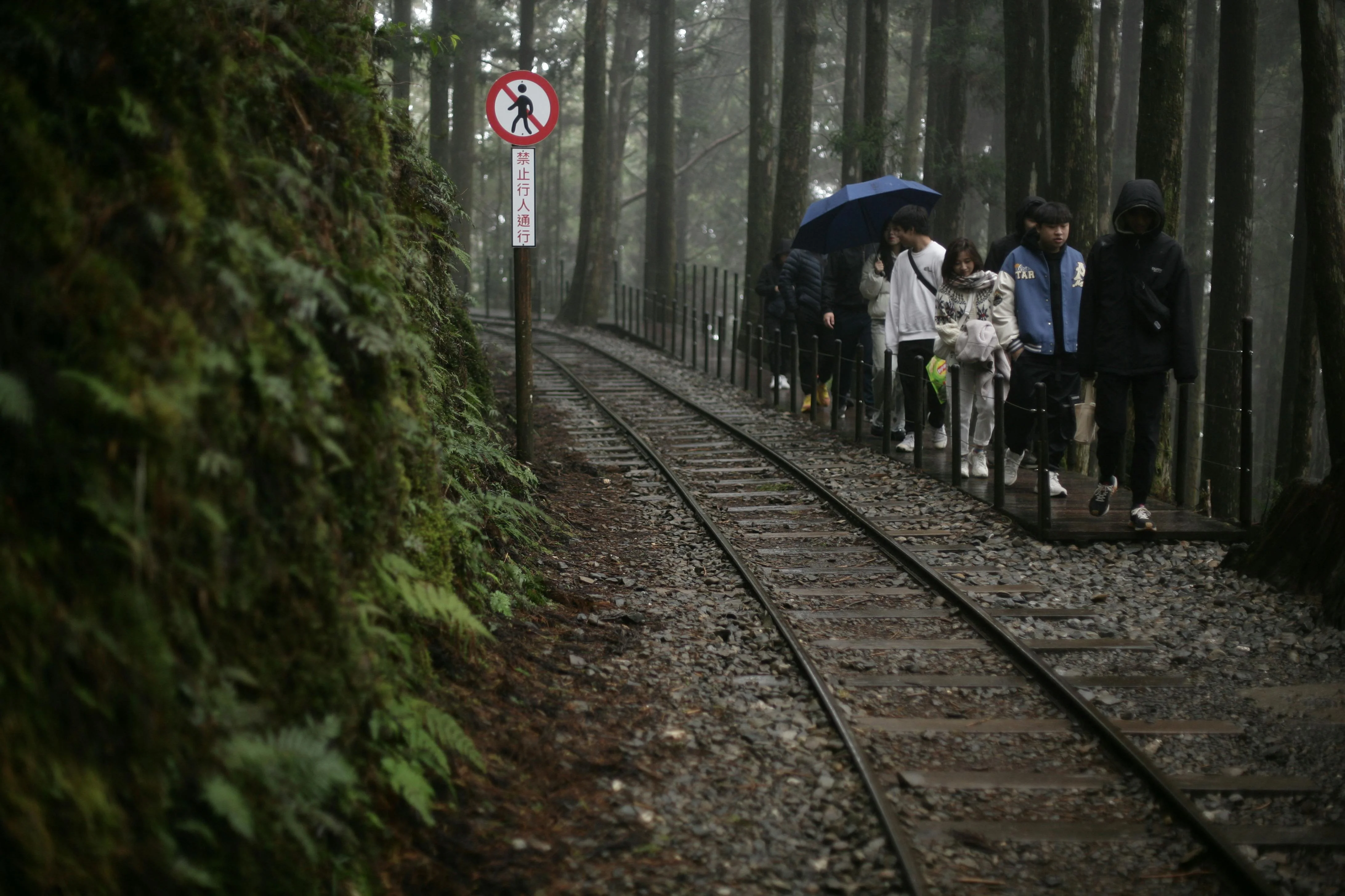 Japan's Untamed Beauty: Hiking Adventures through Himeji's Wilderness Image 1