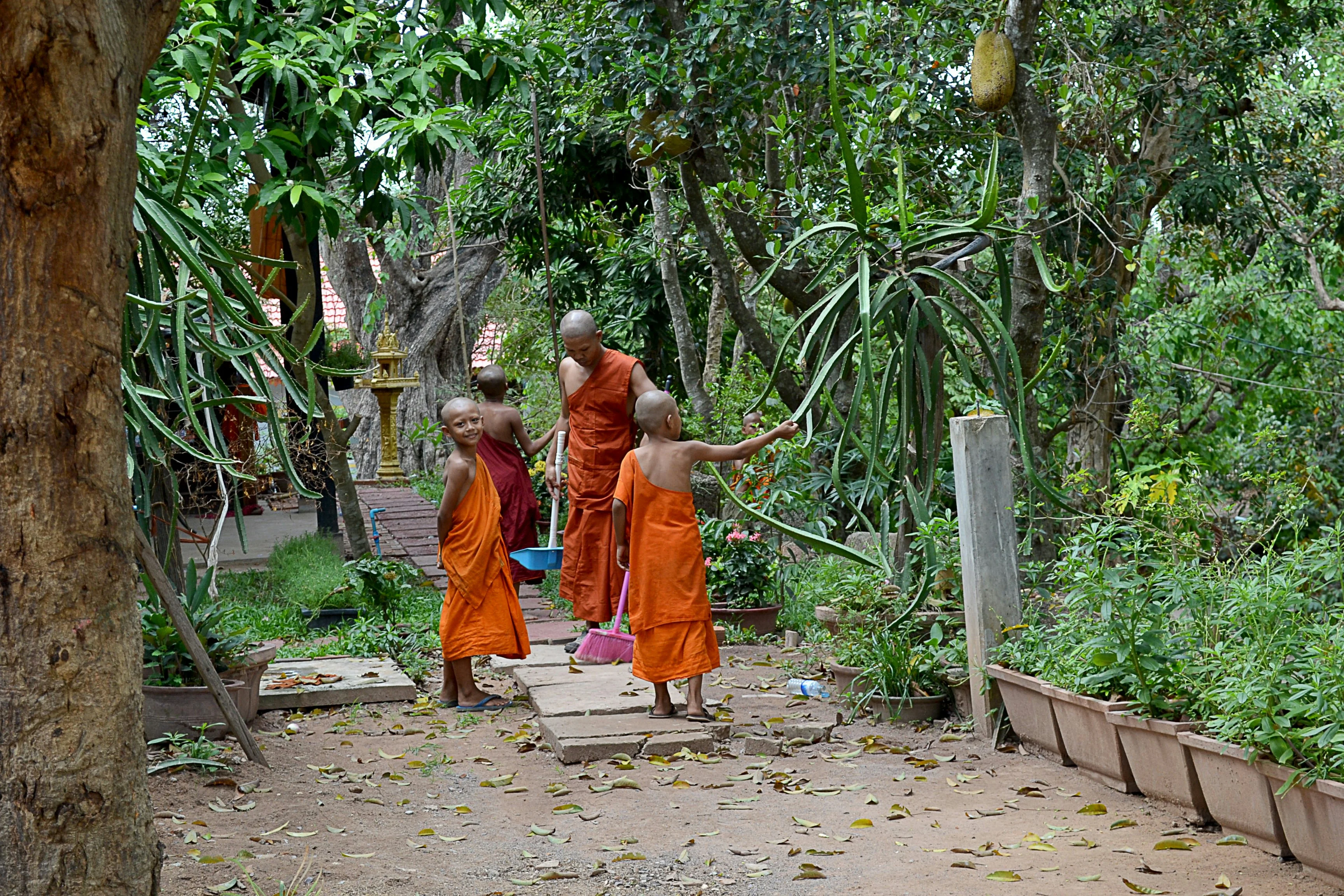 Local Lives: A Day with Siem Reap's Farmers and Artisans Image 3