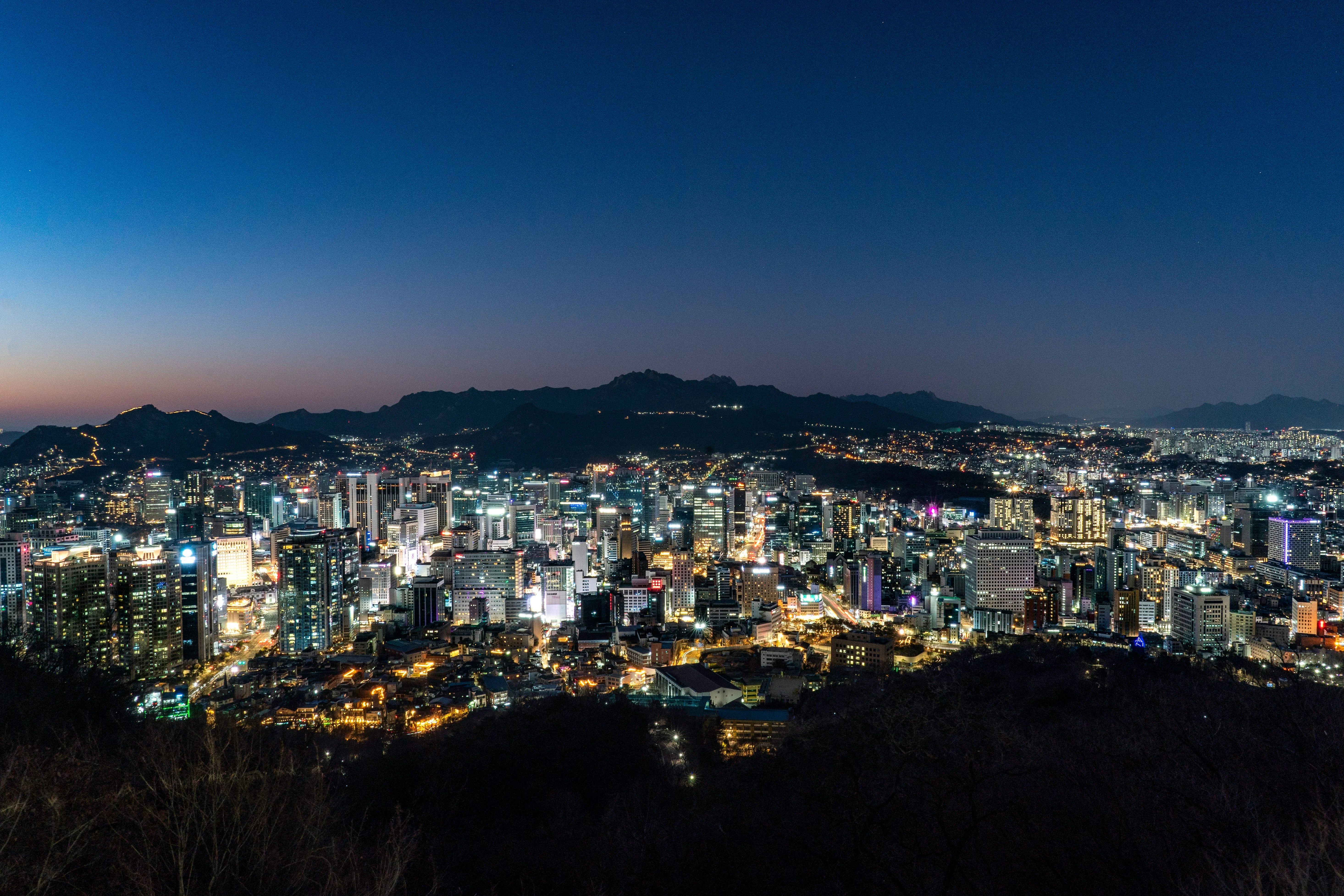 Balancing Beauty and Conservation: Photography Tours of Seoul's Urban Jungles Image 2