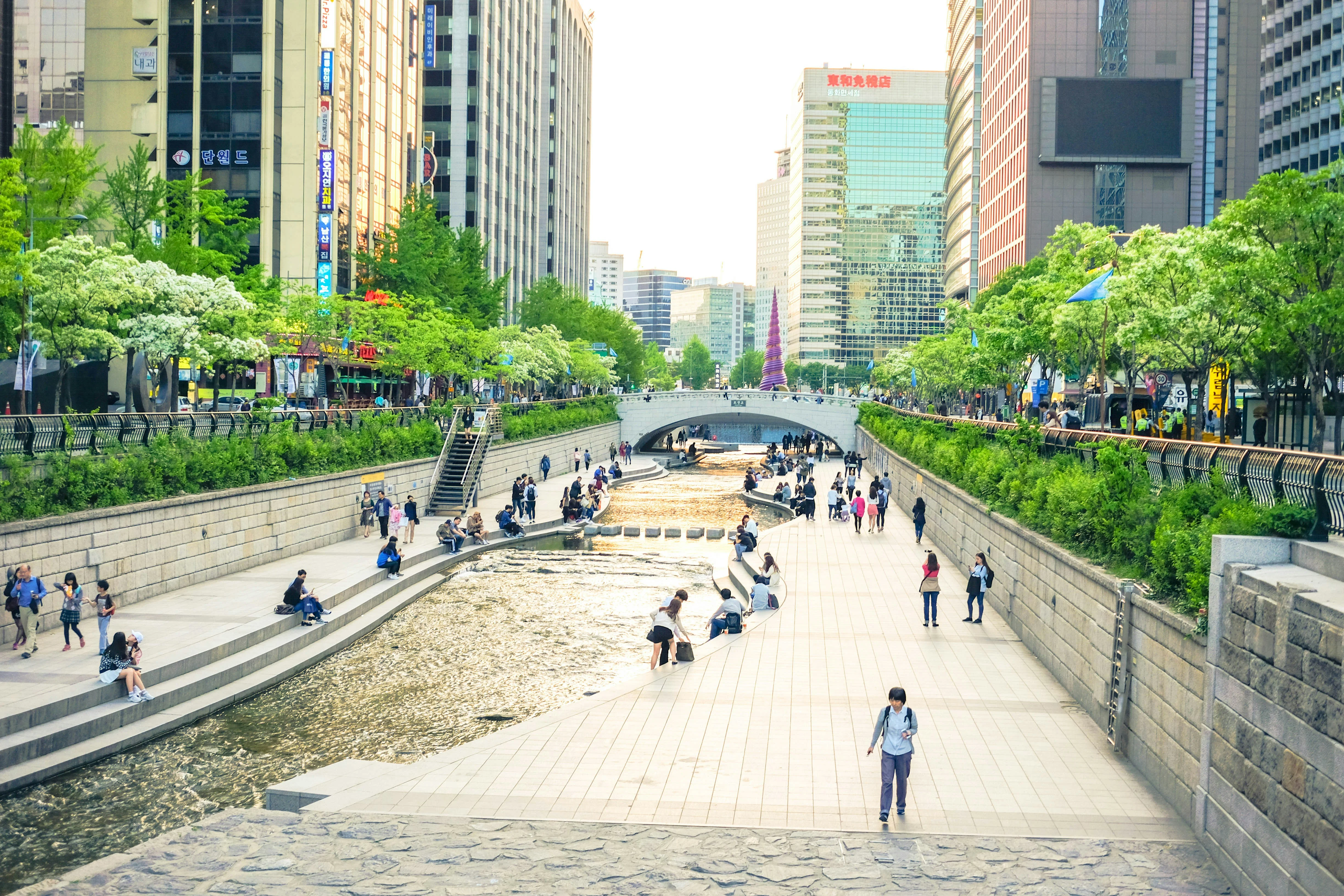 Balancing Beauty and Conservation: Photography Tours of Seoul's Urban Jungles Image 3