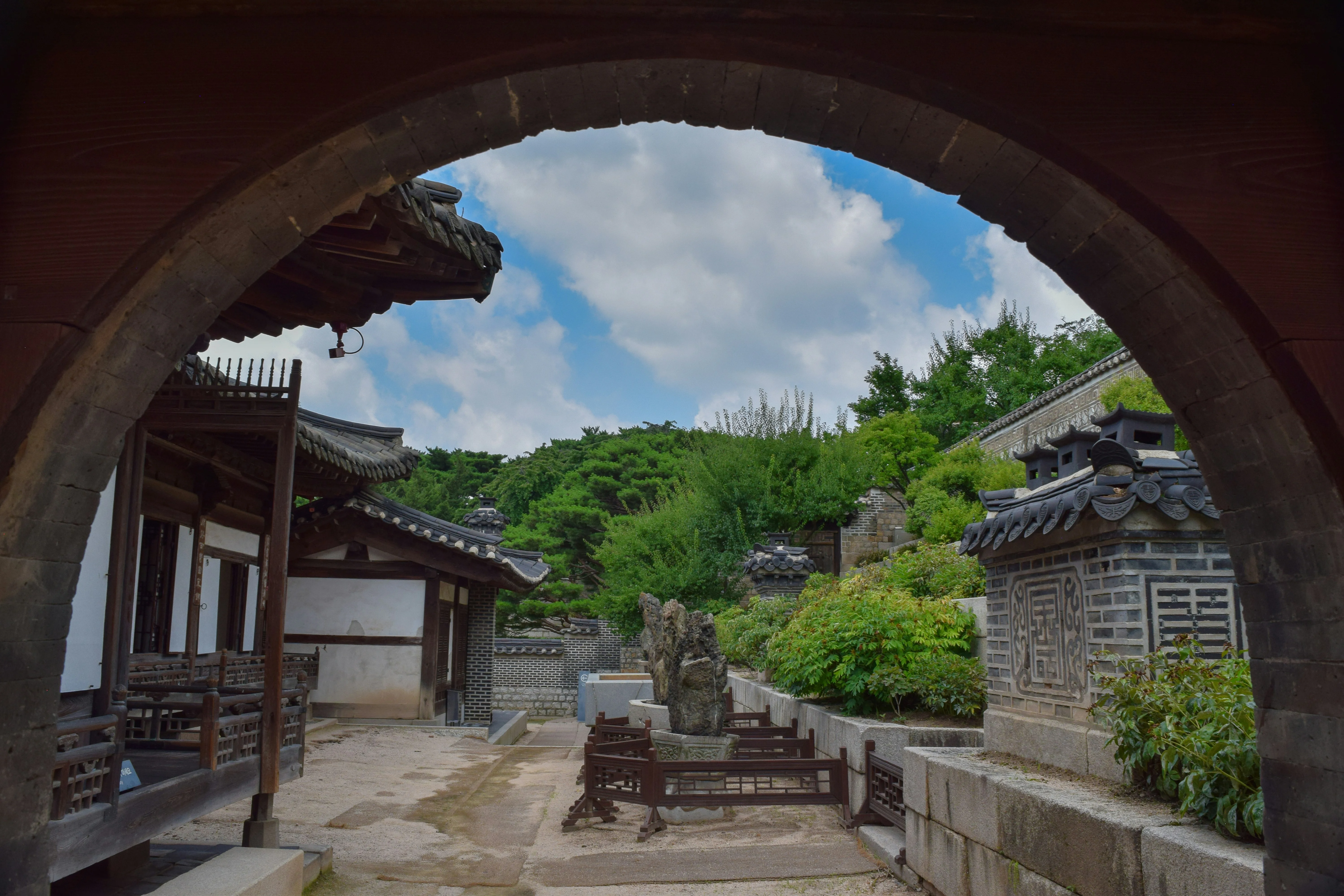 Balancing Beauty and Conservation: Photography Tours of Seoul's Urban Jungles