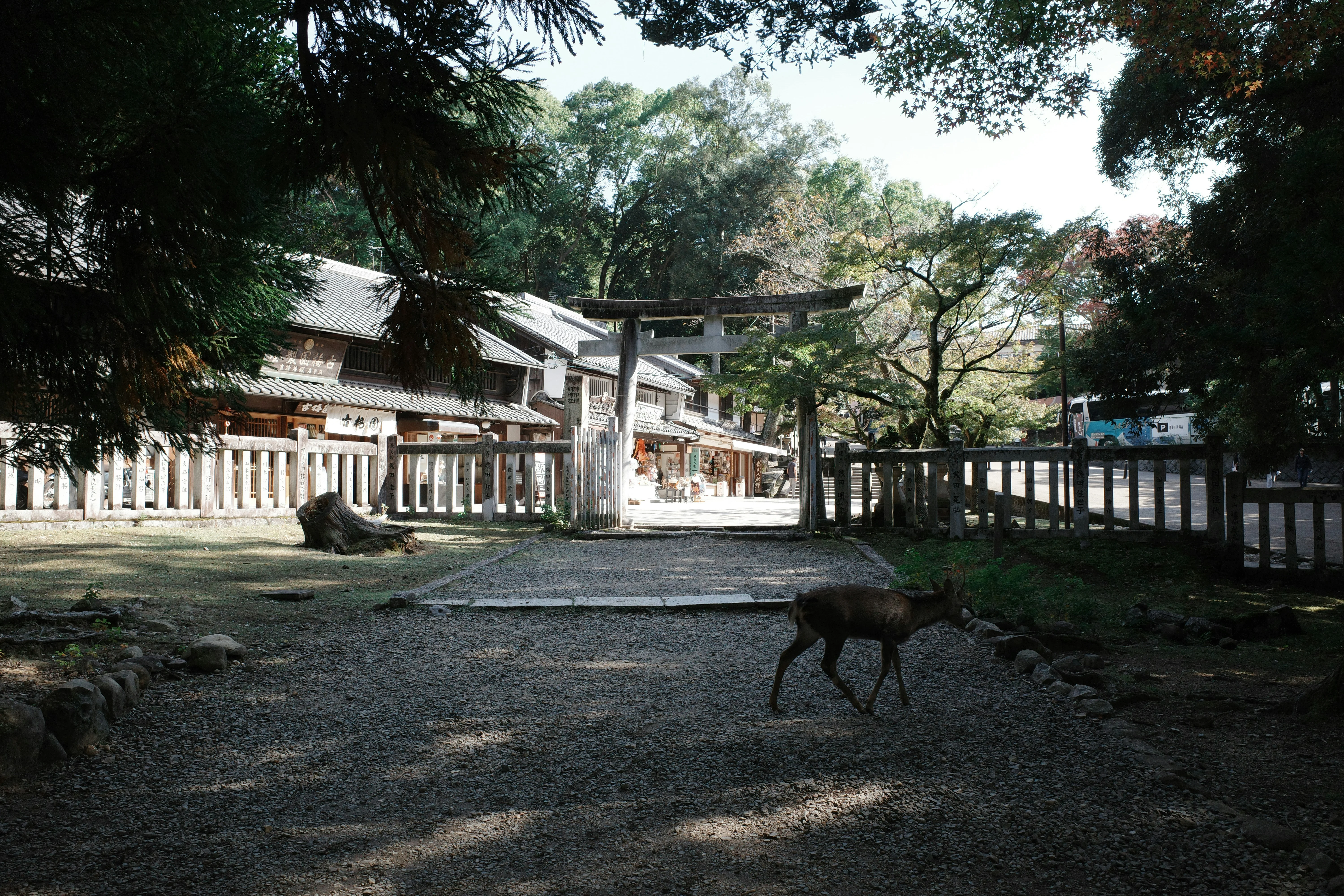 Savoring Traditional & Modern: Nara's Culinary Hotspots for the Trendy Traveler Image 2