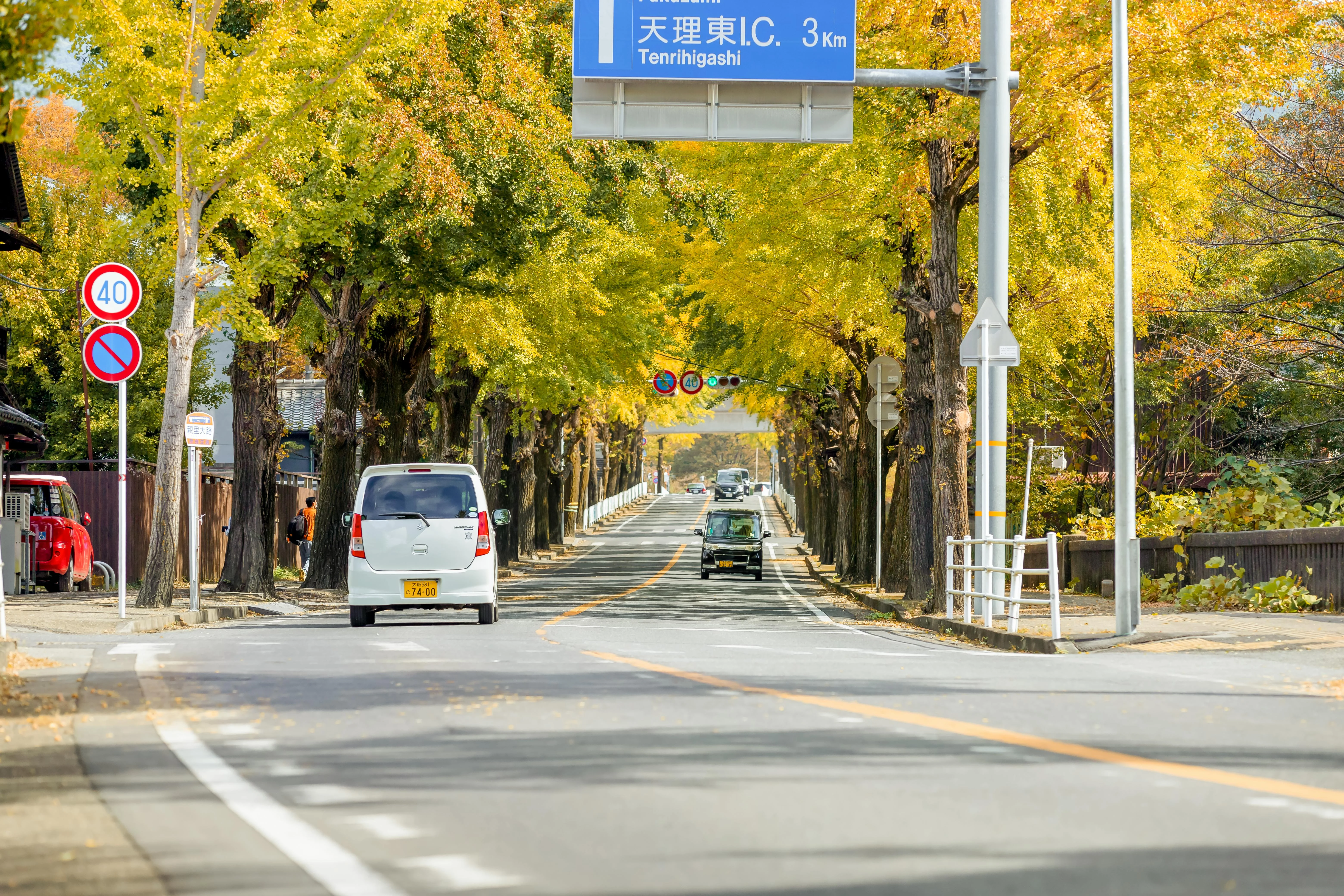 Beyond the Bomb: Nature's Role in Hiroshima's Remarkable Recovery Image 1