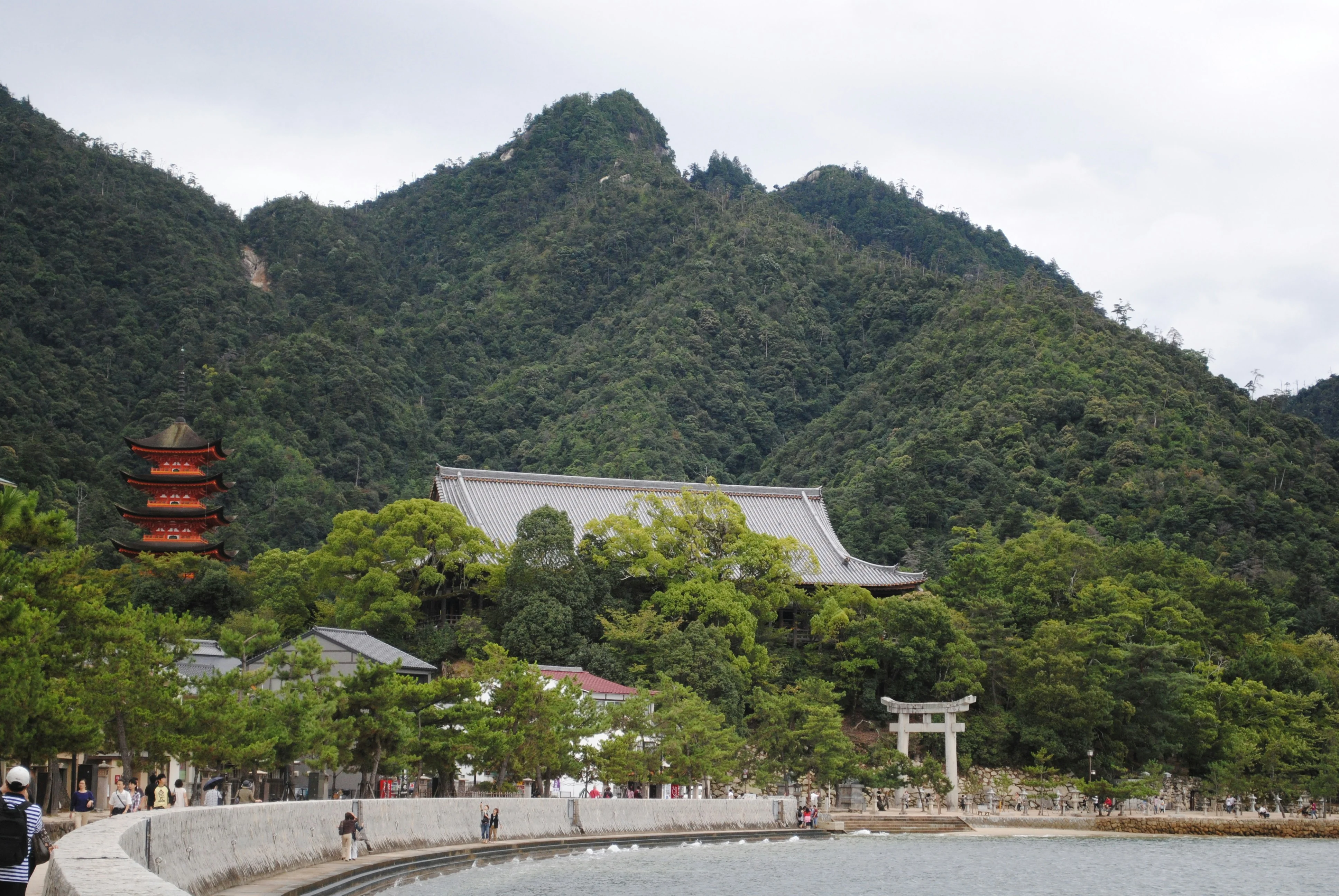 Beyond the Bomb: Nature's Role in Hiroshima's Remarkable Recovery Image 3