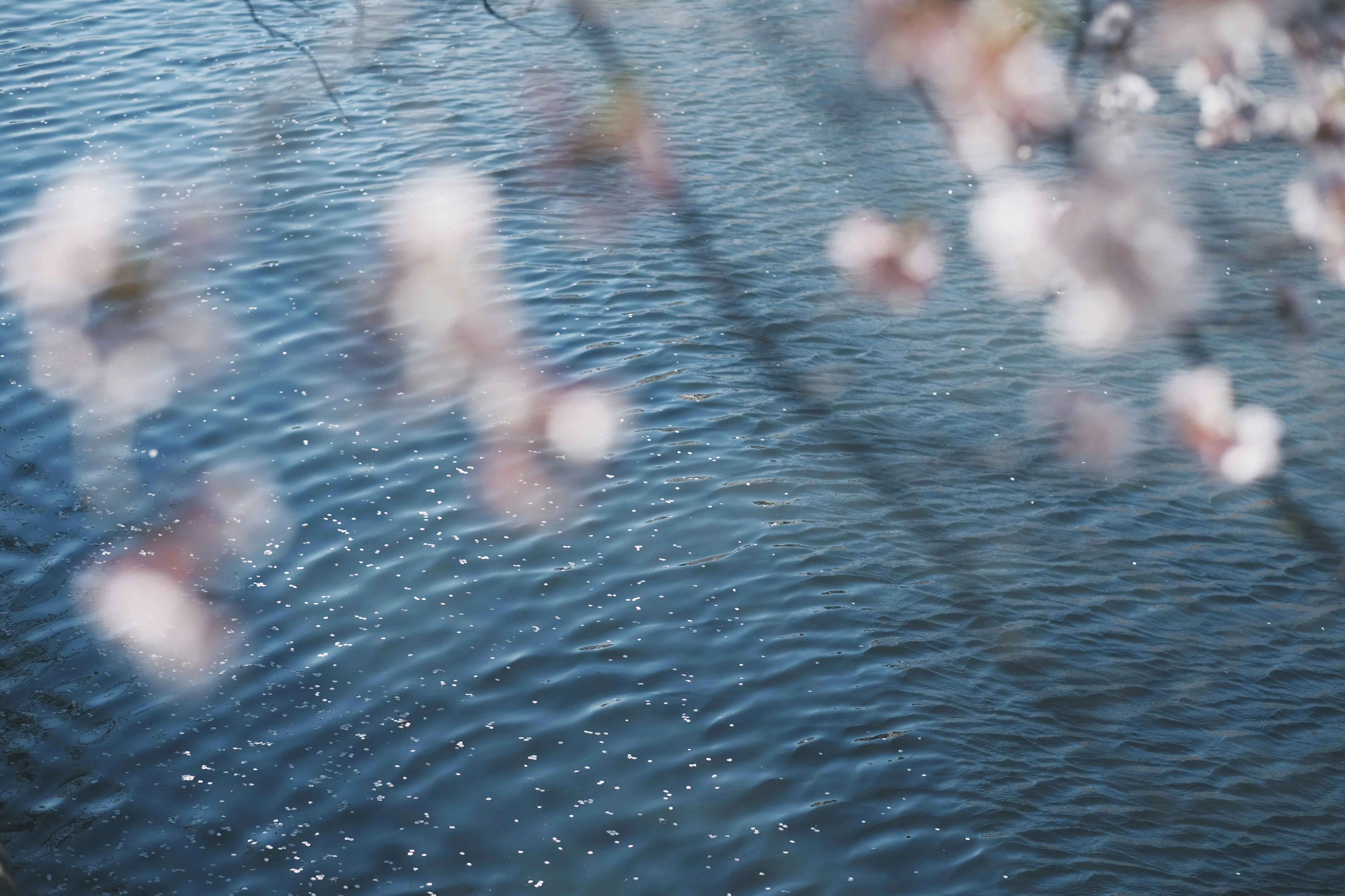 Nature's Wonders: Bird-Watching Oases in Osaka's Urban Jungle Image 3